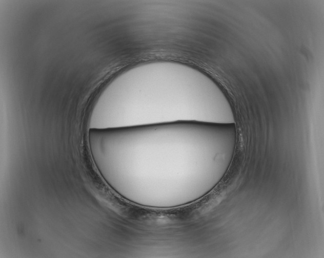 X0000111210254200907011057