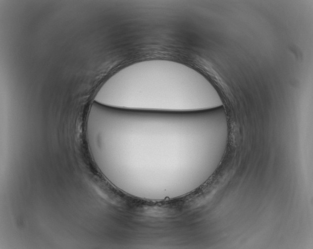 X0000111210259200907011057