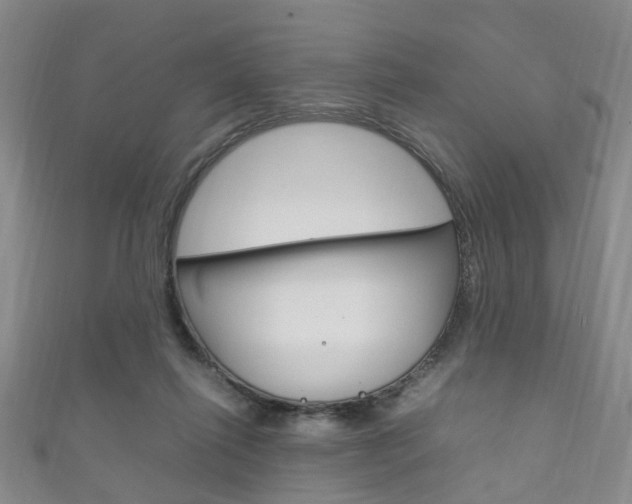 X0000111210262200907011057