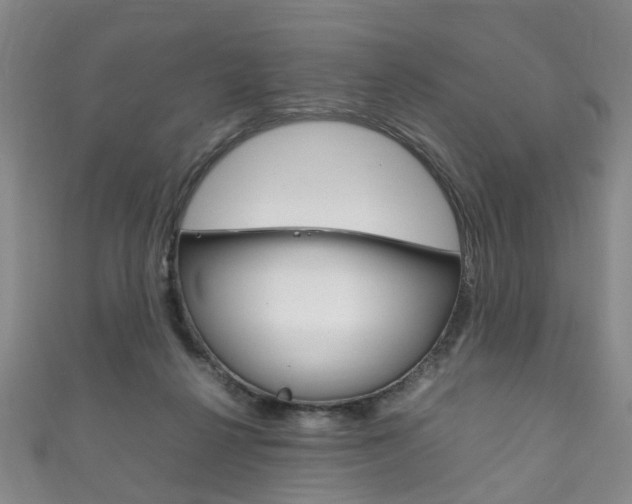 X0000111210264200907011057