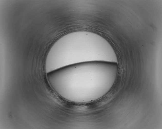 X0000111210266200907011057