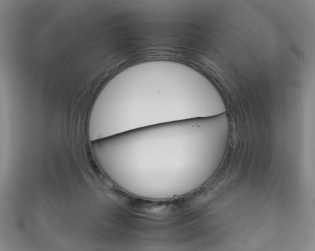 X0000111210267200907011057