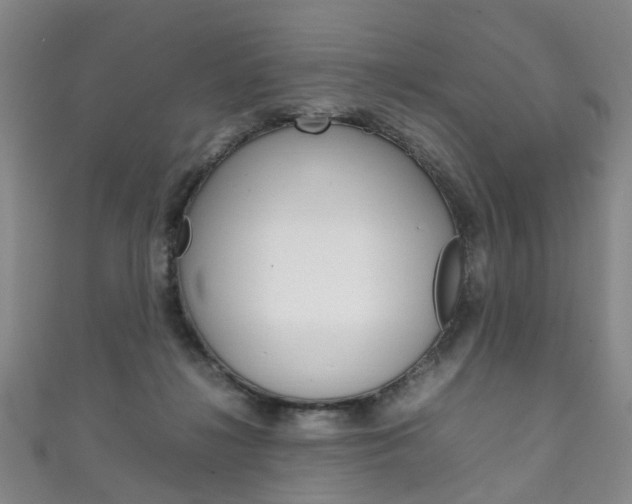 X0000111210268200907011057