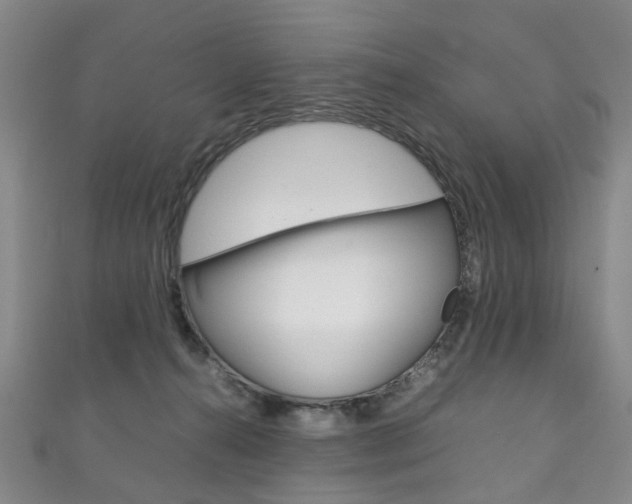 X0000111210272200907011057