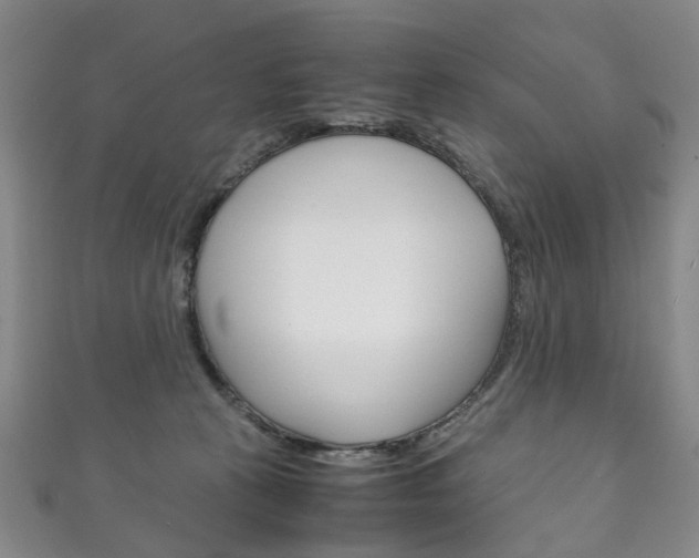 X0000111210273200907011057