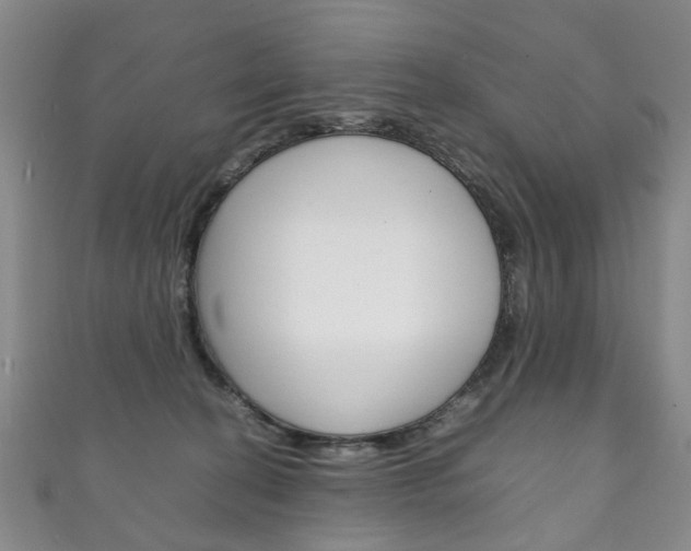 X0000111210274200907011057