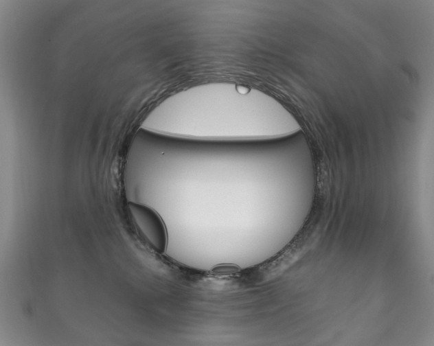 X0000111210280200907011057