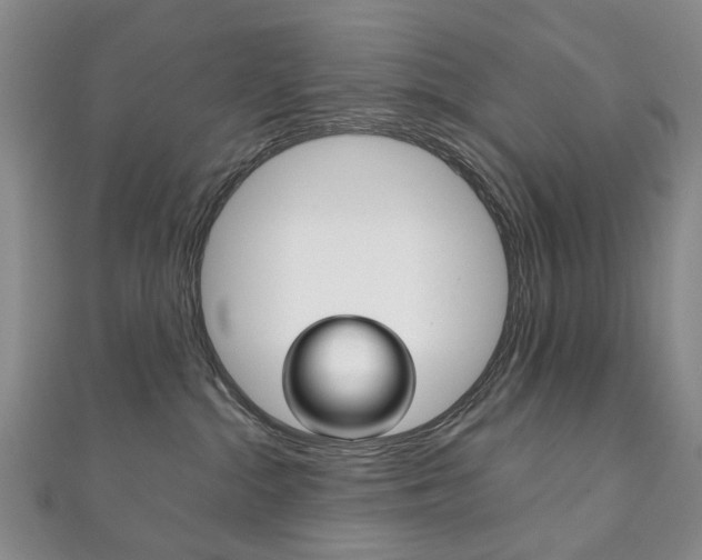 X0000111210284200907011057