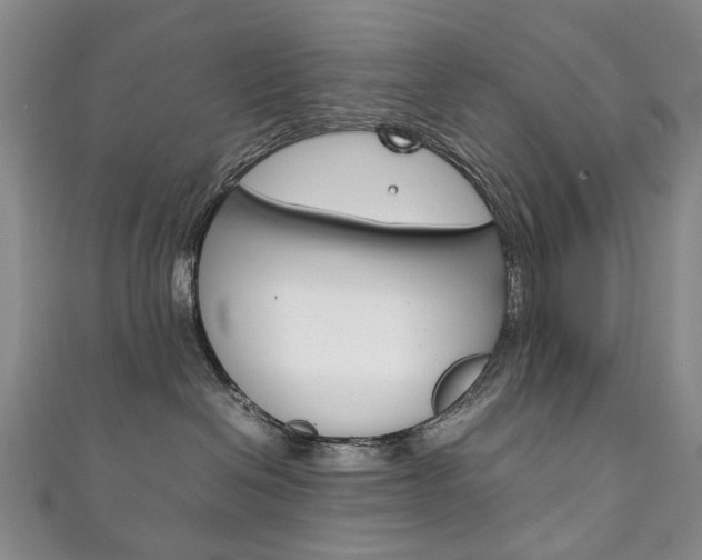 X0000111210286200907011057