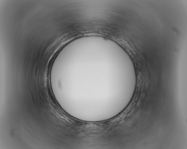 X0000111210290200907011057