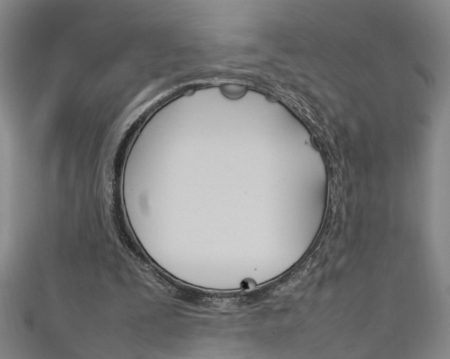 X0000111210295200907011057