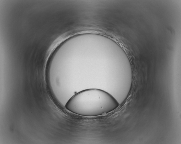 X0000111210296200907011057