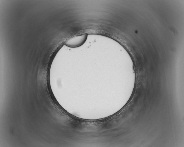 X0000111210297200907011057