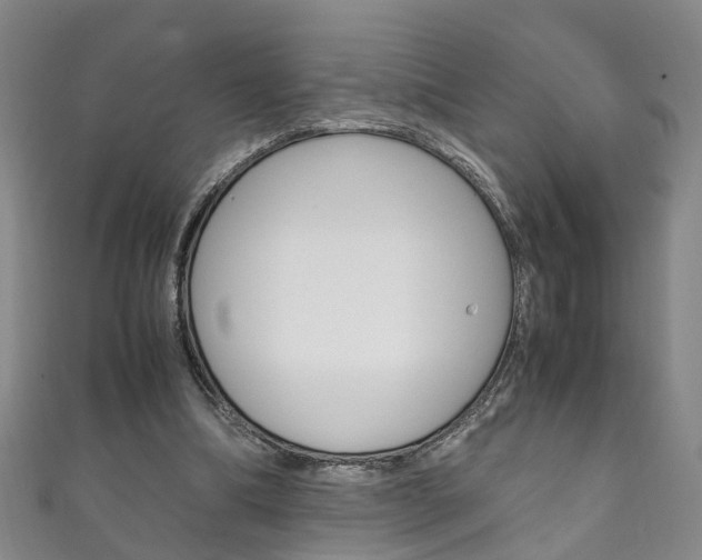 X0000111210298200907011057