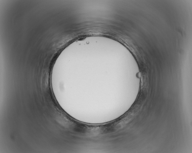 X0000111210301200907011057