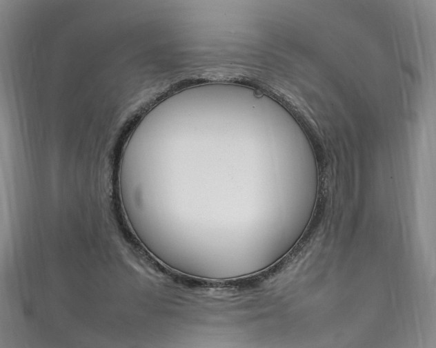 X0000111210303200907011057