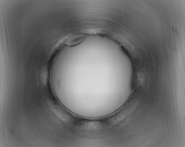 X0000111210304200907011057