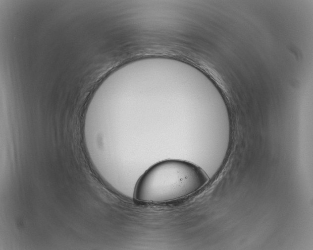 X0000111210305200907011057