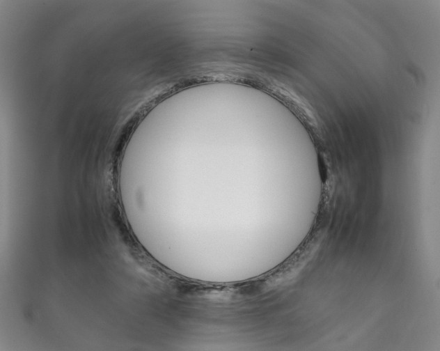 X0000111210306200907011057