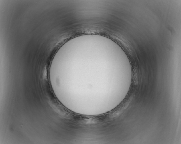 X0000111210310200907011056