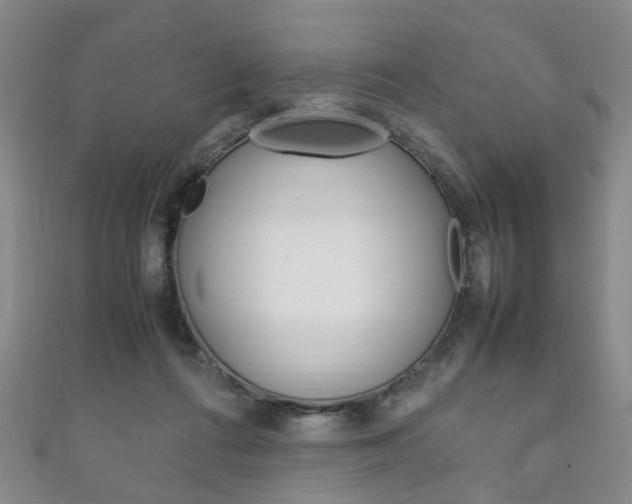 X0000111210312200907011056