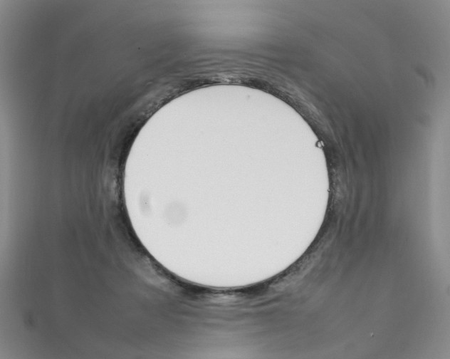 X0000111210313200907011056
