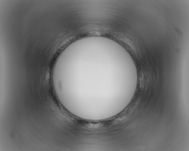 X0000111210314200907011056
