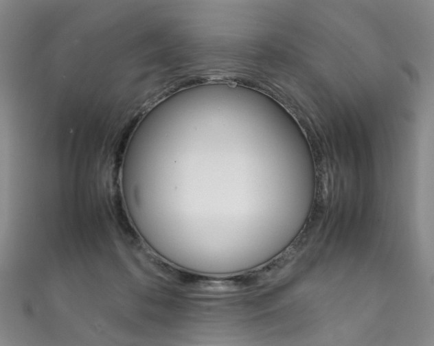X0000111210316200907011056