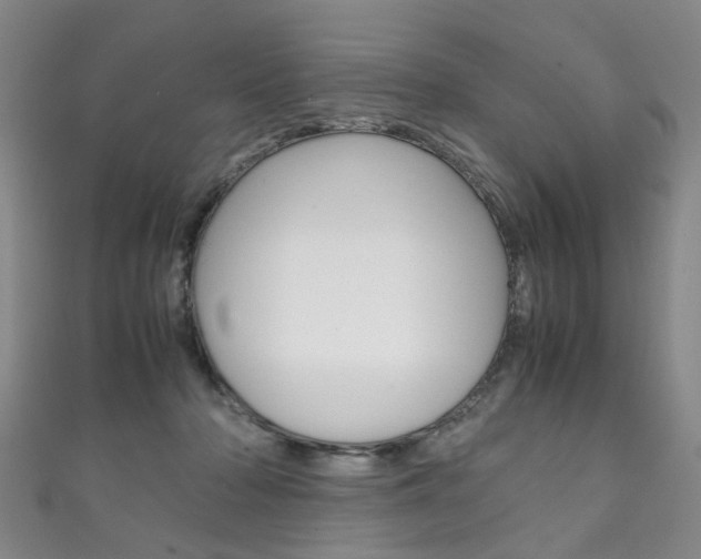 X0000111210318200907011056