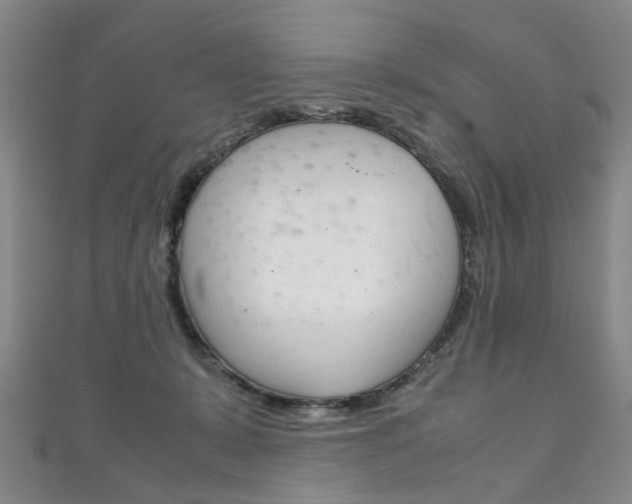 X0000111210319200907011056