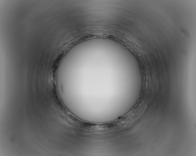 X0000111210320200907011056
