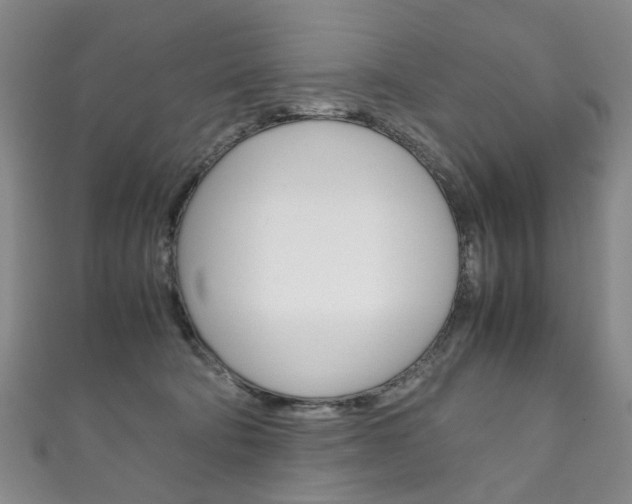 X0000111210322200907011056