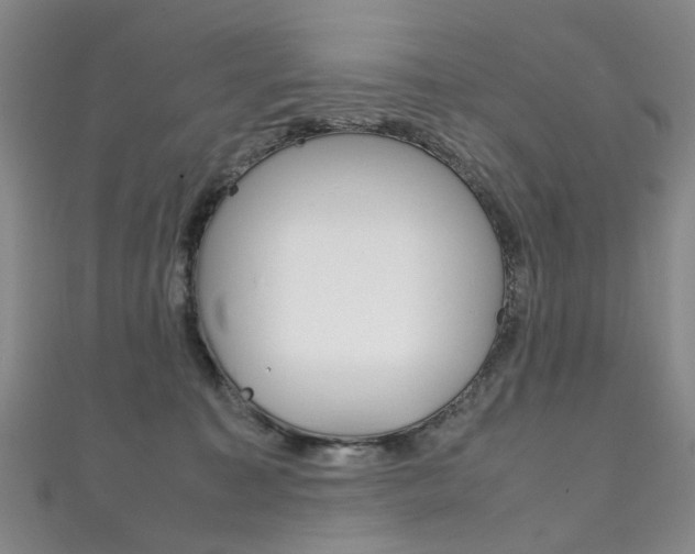 X0000111210323200907011056