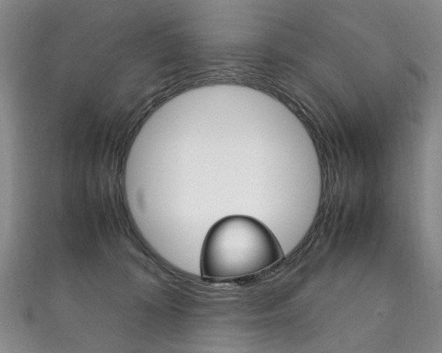 X0000111210324200907011056