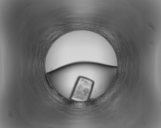 X0000111210325200907011056