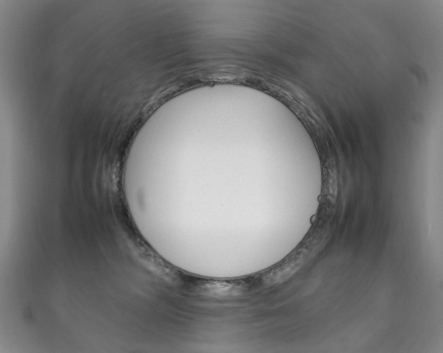 X0000111210326200907011056