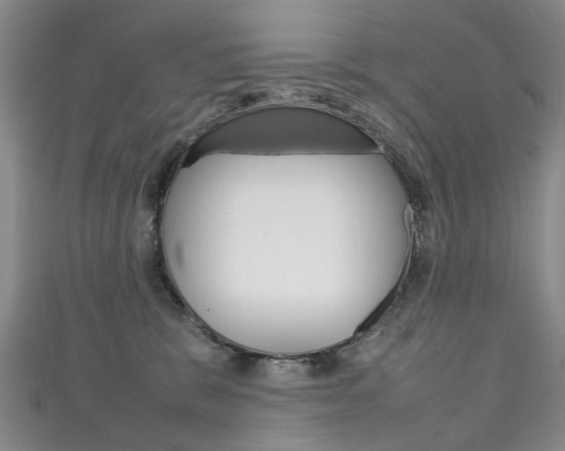X0000111210327200907011056