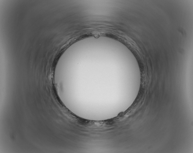 X0000111210329200907011056
