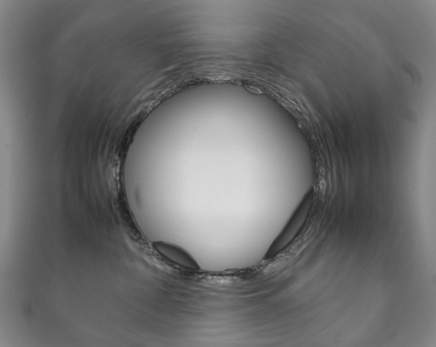 X0000111210332200907011056
