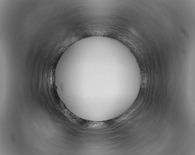 X0000111210334200907011056