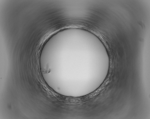 X0000111210337200907011055