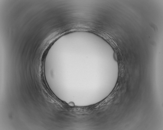 X0000111210338200907011055