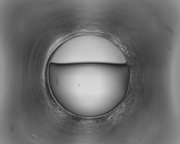 X0000111210340200907011056