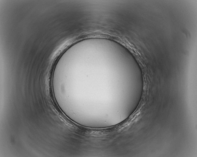 X0000111210341200907011056