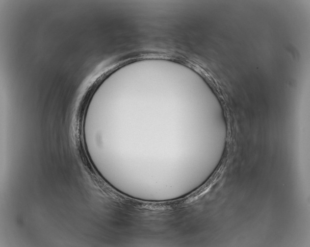 X0000111210343200907011056