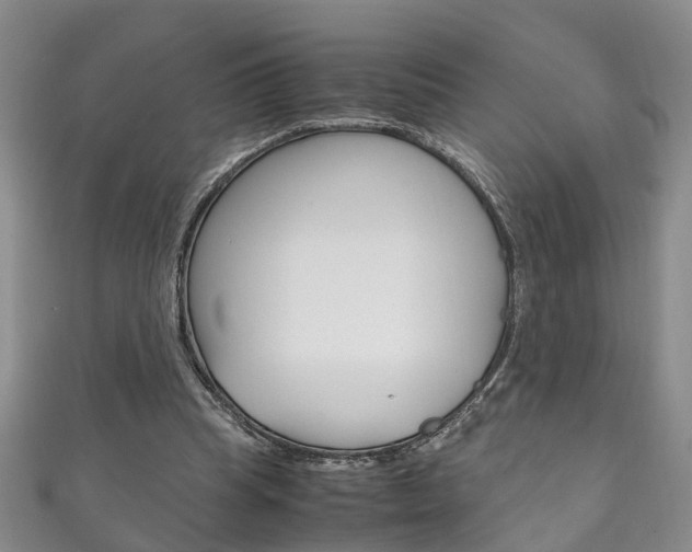 X0000111210345200907011056