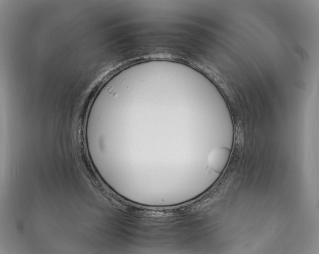 X0000111210347200907011056