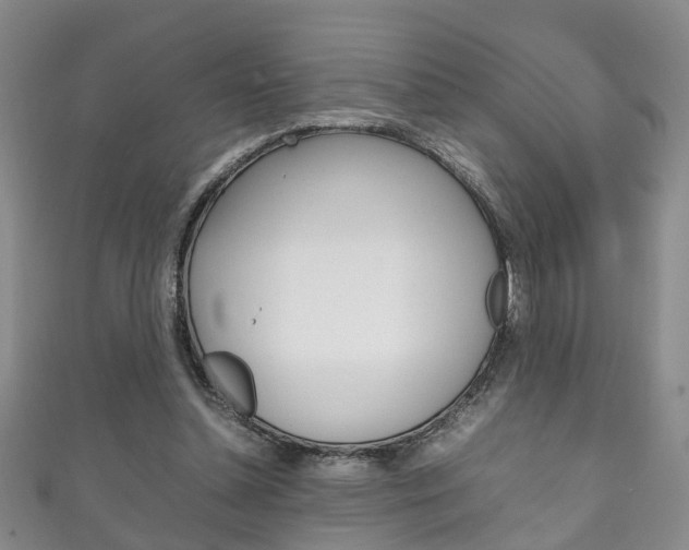X0000111210348200907011056