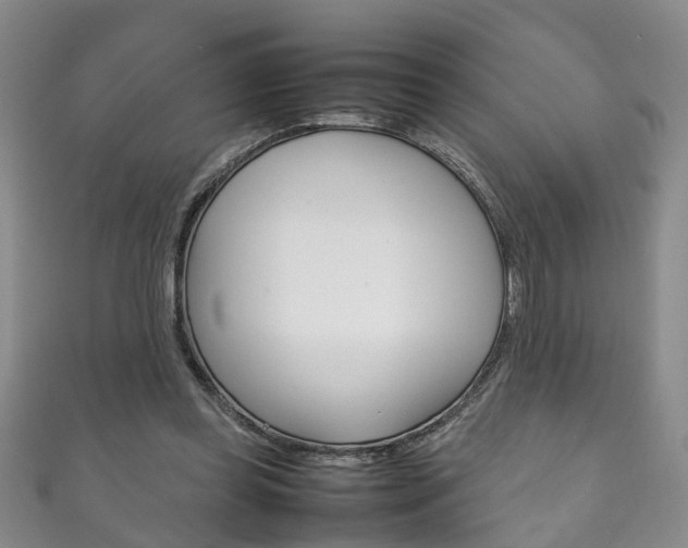 X0000111210349200907011056