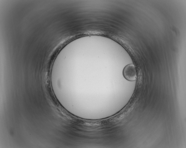 X0000111210351200907011056